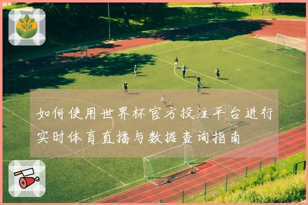 如何使用世界杯官方投注平台进行实时体育直播与数据查询指南