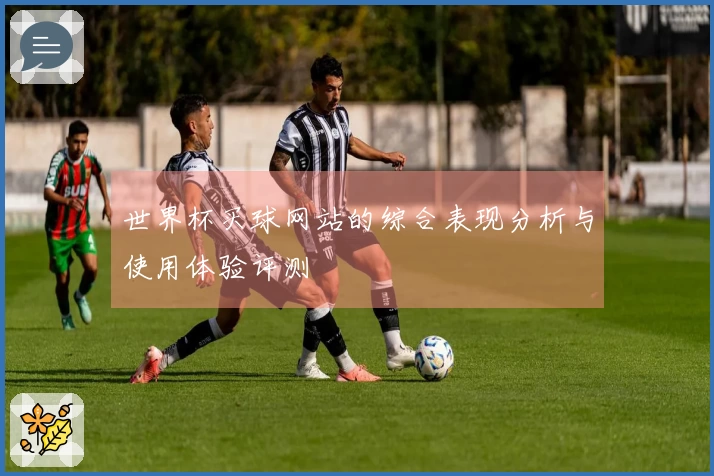 世界杯买球网站的综合表现分析与使用体验评测