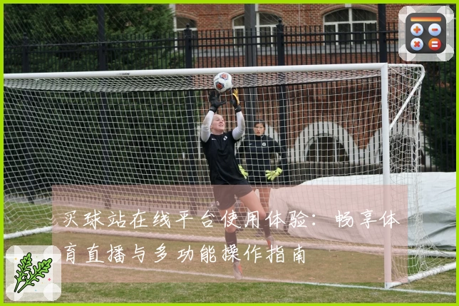 买球站在线平台使用体验：畅享体育直播与多功能操作指南