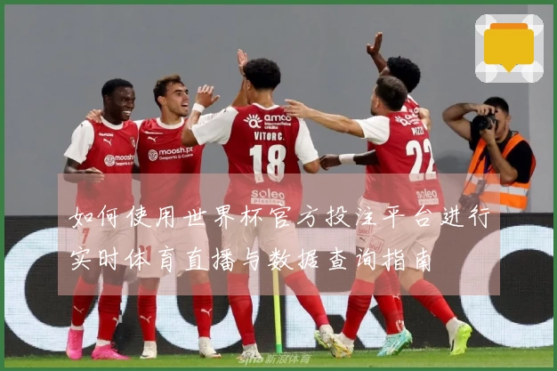 如何使用世界杯官方投注平台进行实时体育直播与数据查询指南
