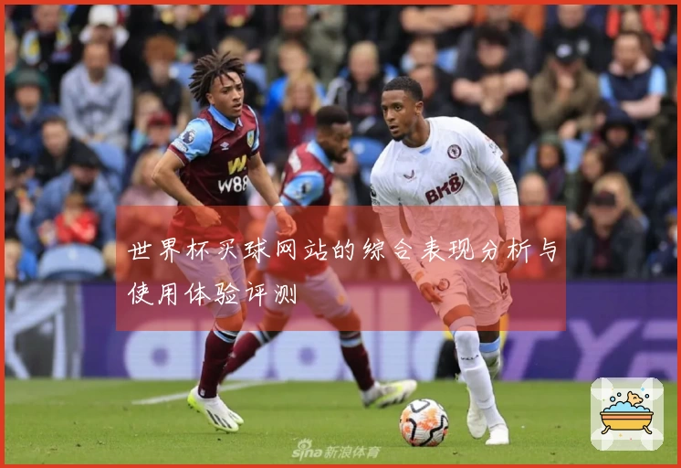 世界杯买球网站的综合表现分析与使用体验评测